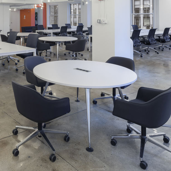 Softshell 5-star base