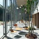 Plywood Group LCM