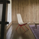 Antony Limited Edition 2025