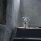 Bulb
